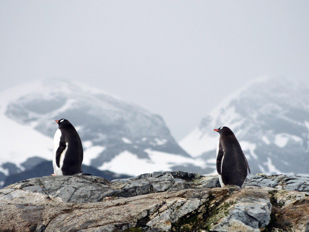 Exploración Islas Galápagos